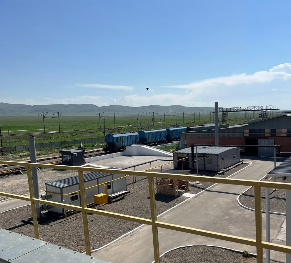 Алель корм Тараз